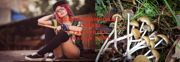 наркотики Снежногорск