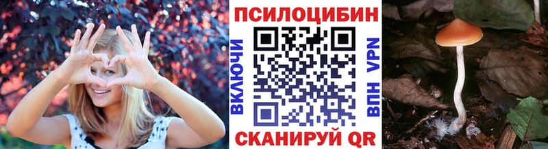 Галлюциногенные грибы прущие грибы  Купить где  Ульяновск 