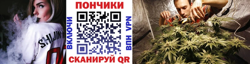 Купить закладки  Ульяновск  Бошки марихуана VHQ 